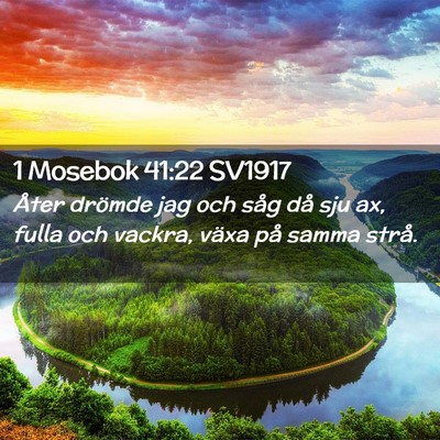 Picture 02 - 1 Mosebok 41:22 SV1917 - Åter drömde jag och såg då sju ax, fulla och - Bible Verse Picture