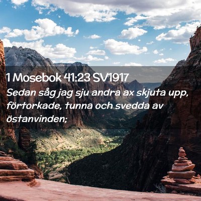 Picture 02 - 1 Mosebok 41:23 SV1917 - Sedan såg jag sju andra ax skjuta upp, - Bible Verse Picture