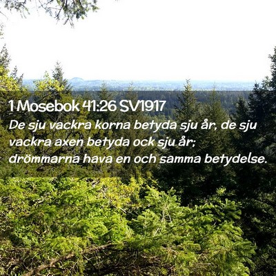 Picture 02 - 1 Mosebok 41:26 SV1917 - De sju vackra korna betyda sju år, de sju vackra - Bible Verse Picture