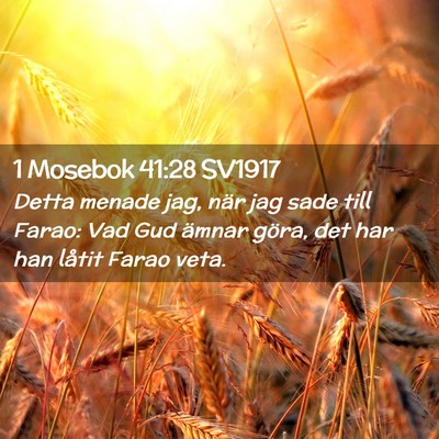 Picture 02 - 1 Mosebok 41:28 SV1917 - Detta menade jag, när jag sade till Farao: Vad - Bible Verse Picture