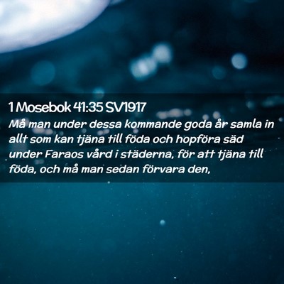Picture 02 - 1 Mosebok 41:35 SV1917 - Må man under dessa kommande goda år samla in - Bible Verse Picture