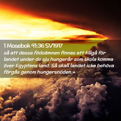 Picture 02 - 1 Mosebok 41:36 SV1917 - så att dessa födoämnen finnas att tillgå för - Bible Verse Picture