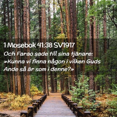 Picture 02 - 1 Mosebok 41:38 SV1917 - Och Farao sade till sina tjänare: »Kunna vi - Bible Verse Picture