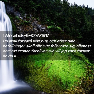 Picture 02 - 1 Mosebok 41:40 SV1917 - Du skall förestå mitt hus, och efter dina - Bible Verse Picture