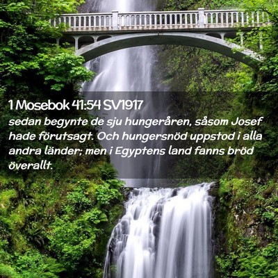 Picture 02 - 1 Mosebok 41:54 SV1917 - sedan begynte de sju hungeråren, såsom Josef - Bible Verse Picture