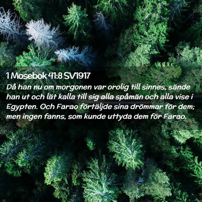 Picture 02 - 1 Mosebok 41:8 SV1917 - Då han nu om morgonen var orolig till sinnes, - Bible Verse Picture