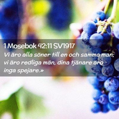 Picture 02 - 1 Mosebok 42:11 SV1917 - Vi äro alla söner till en och samma man; vi - Bible Verse Picture