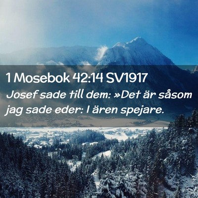 Picture 02 - 1 Mosebok 42:14 SV1917 - Josef sade till dem: »Det är såsom jag sade - Bible Verse Picture