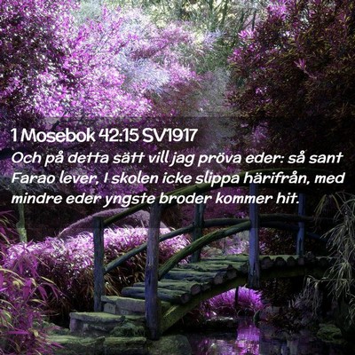 Picture 02 - 1 Mosebok 42:15 SV1917 - Och på detta sätt vill jag pröva eder: så - Bible Verse Picture