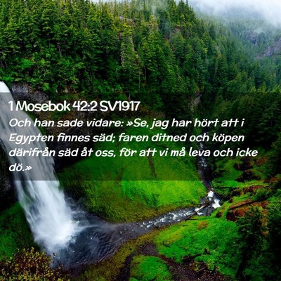 Picture 02 - 1 Mosebok 42:2 SV1917 - Och han sade vidare: »Se, jag har hört att i - Bible Verse Picture