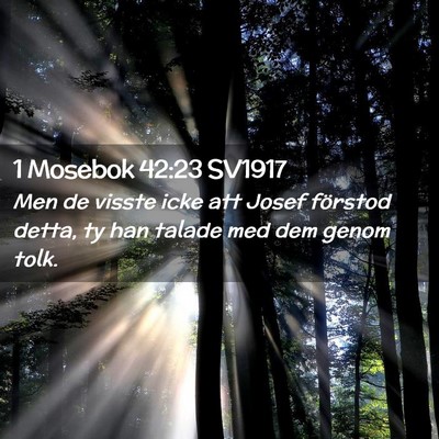 Picture 02 - 1 Mosebok 42:23 SV1917 - Men de visste icke att Josef förstod detta, ty - Bible Verse Picture