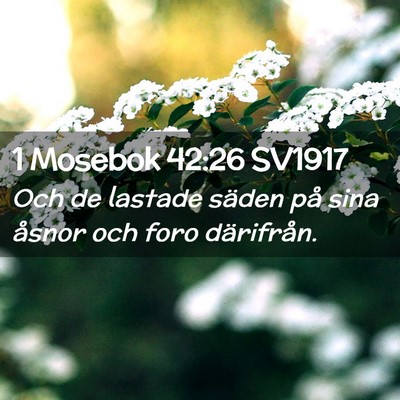 Picture 02 - 1 Mosebok 42:26 SV1917 - Och de lastade säden på sina åsnor och foro - Bible Verse Picture