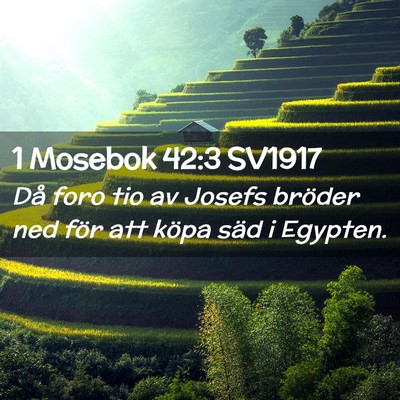 Picture 02 - 1 Mosebok 42:3 SV1917 - Då foro tio av Josefs bröder ned för att köpa - Bible Verse Picture