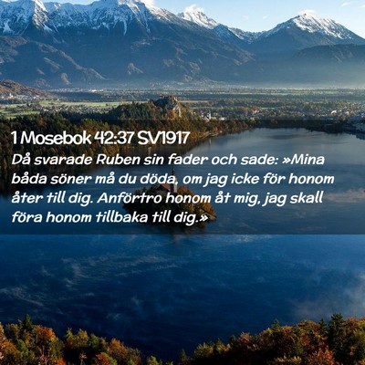 Picture 02 - 1 Mosebok 42:37 SV1917 - Då svarade Ruben sin fader och sade: »Mina - Bible Verse Picture