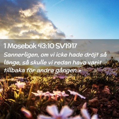Picture 02 - 1 Mosebok 43:10 SV1917 - Sannerligen, om vi icke hade dröjt så länge, - Bible Verse Picture