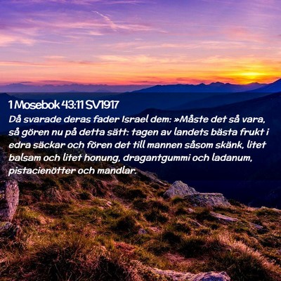 Picture 02 - 1 Mosebok 43:11 SV1917 - Då svarade deras fader Israel dem: »Måste det - Bible Verse Picture