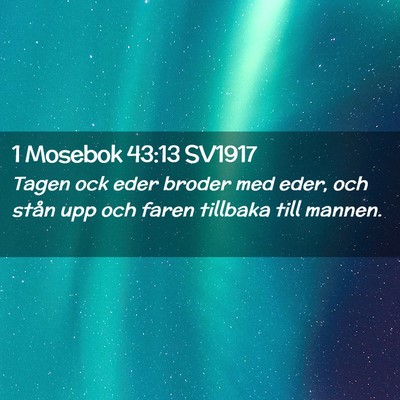 Picture 02 - 1 Mosebok 43:13 SV1917 - Tagen ock eder broder med eder, och stån upp och - Bible Verse Picture