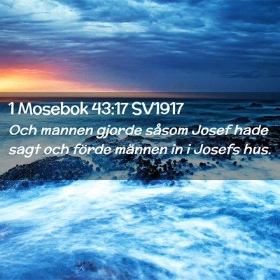 Picture 02 - 1 Mosebok 43:17 SV1917 - Och mannen gjorde såsom Josef hade sagt och - Bible Verse Picture