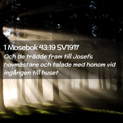 Picture 02 - 1 Mosebok 43:19 SV1917 - Och de trädde fram till Josefs hovmästare och - Bible Verse Picture