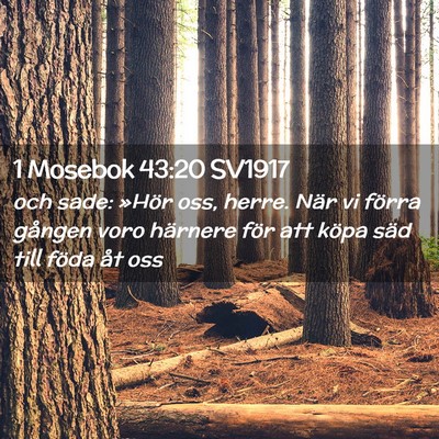 Picture 02 - 1 Mosebok 43:20 SV1917 - och sade: »Hör oss, herre. När vi förra - Bible Verse Picture