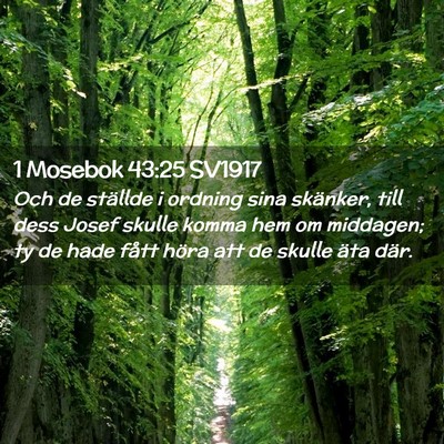 Picture 02 - 1 Mosebok 43:25 SV1917 - Och de ställde i ordning sina skänker, till - Bible Verse Picture