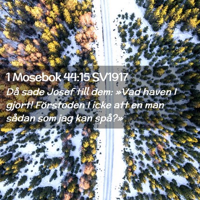 Picture 02 - 1 Mosebok 44:15 SV1917 - Då sade Josef till dem: »Vad haven I gjort! - Bible Verse Picture