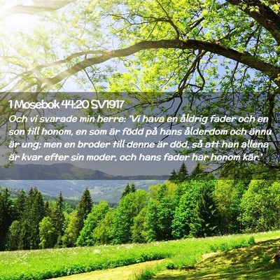Picture 02 - 1 Mosebok 44:20 SV1917 - Och vi svarade min herre: 'Vi hava en åldrig - Bible Verse Picture