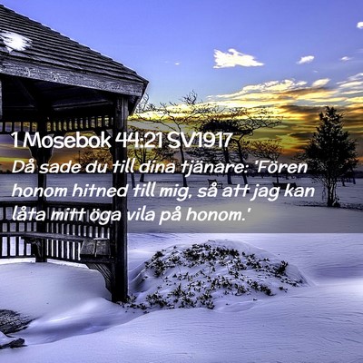 Picture 02 - 1 Mosebok 44:21 SV1917 - Då sade du till dina tjänare: 'Fören honom - Bible Verse Picture
