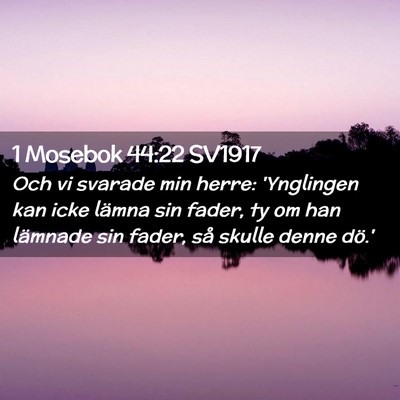 Picture 02 - 1 Mosebok 44:22 SV1917 - Och vi svarade min herre: 'Ynglingen kan icke - Bible Verse Picture