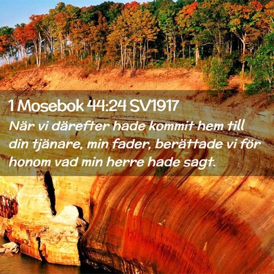 Picture 02 - 1 Mosebok 44:24 SV1917 - När vi därefter hade kommit hem till din - Bible Verse Picture