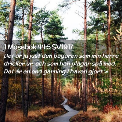 Picture 02 - 1 Mosebok 44:5 SV1917 - Det är ju just den bägaren som min herre - Bible Verse Picture
