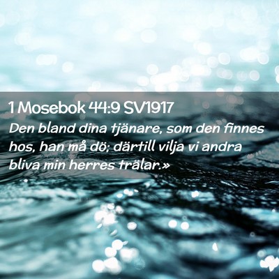 Picture 02 - 1 Mosebok 44:9 SV1917 - Den bland dina tjänare, som den finnes hos, han - Bible Verse Picture
