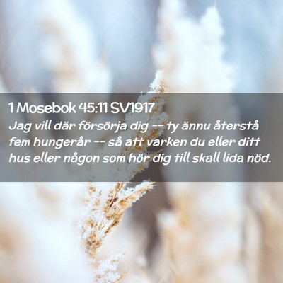Picture 02 - 1 Mosebok 45:11 SV1917 - Jag vill där försörja dig -- ty ännu - Bible Verse Picture