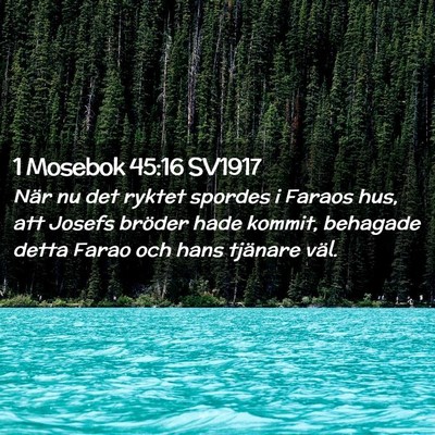 Picture 02 - 1 Mosebok 45:16 SV1917 - När nu det ryktet spordes i Faraos hus, att - Bible Verse Picture