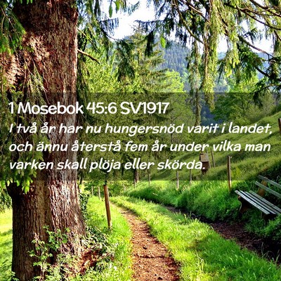 Picture 02 - 1 Mosebok 45:6 SV1917 - I två år har nu hungersnöd varit i landet, och - Bible Verse Picture