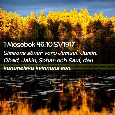 Picture 02 - 1 Mosebok 46:10 SV1917 - Simeons söner voro Jemuel, Jamin, Ohad, Jakin, - Bible Verse Picture