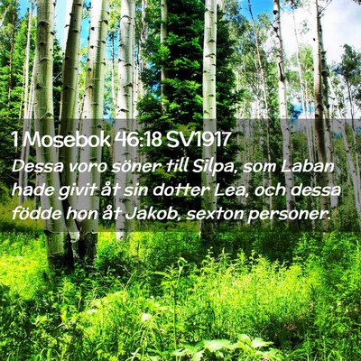 Picture 02 - 1 Mosebok 46:18 SV1917 - Dessa voro söner till Silpa, som Laban hade - Bible Verse Picture