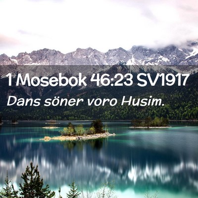 Picture 02 - 1 Mosebok 46:23 SV1917 - Dans söner voro - Bible Verse Picture