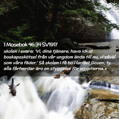 Picture 02 - 1 Mosebok 46:34 SV1917 - skolen I svara: 'Vi, dina tjänare, hava idkat - Bible Verse Picture