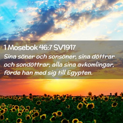 Picture 02 - 1 Mosebok 46:7 SV1917 - Sina söner och sonsöner, sina döttrar och - Bible Verse Picture