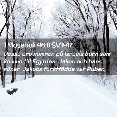 Picture 02 - 1 Mosebok 46:8 SV1917 - Dessa äro namnen på Israels barn som kommo till - Bible Verse Picture