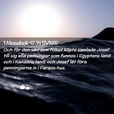 Picture 02 - 1 Mosebok 47:14 SV1917 - Och för den säd som folket köpte samlade Josef - Bible Verse Picture