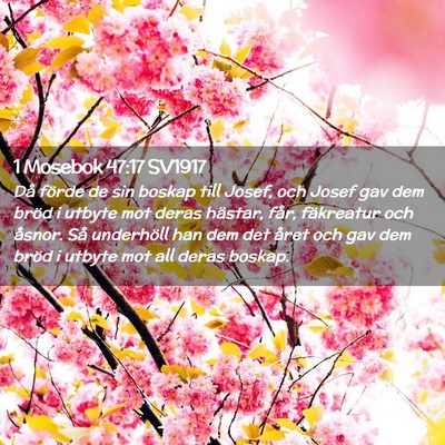 Picture 02 - 1 Mosebok 47:17 SV1917 - Då förde de sin boskap till Josef, och Josef - Bible Verse Picture