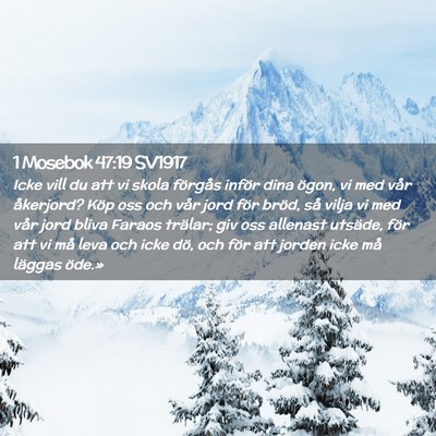 Picture 02 - 1 Mosebok 47:19 SV1917 - Icke vill du att vi skola förgås inför dina - Bible Verse Picture