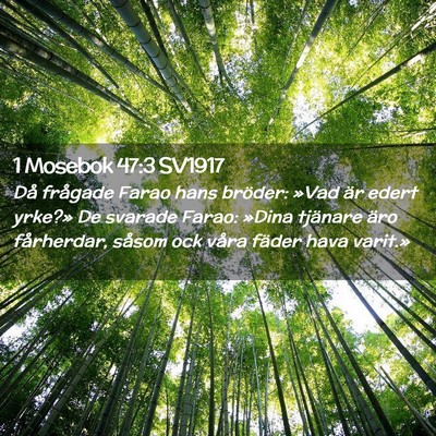 Picture 02 - 1 Mosebok 47:3 SV1917 - Då frågade Farao hans bröder: »Vad är edert - Bible Verse Picture