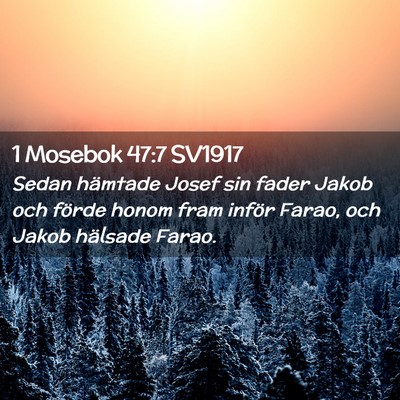 Picture 02 - 1 Mosebok 47:7 SV1917 - Sedan hämtade Josef sin fader Jakob och förde - Bible Verse Picture