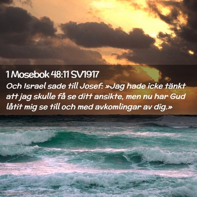Picture 02 - 1 Mosebok 48:11 SV1917 - Och Israel sade till Josef: »Jag hade icke - Bible Verse Picture