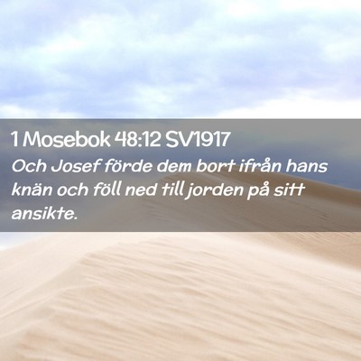 Picture 02 - 1 Mosebok 48:12 SV1917 - Och Josef förde dem bort ifrån hans knän och - Bible Verse Picture