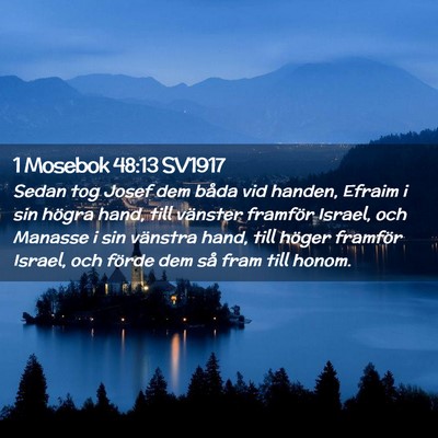 Picture 02 - 1 Mosebok 48:13 SV1917 - Sedan tog Josef dem båda vid handen, Efraim i - Bible Verse Picture