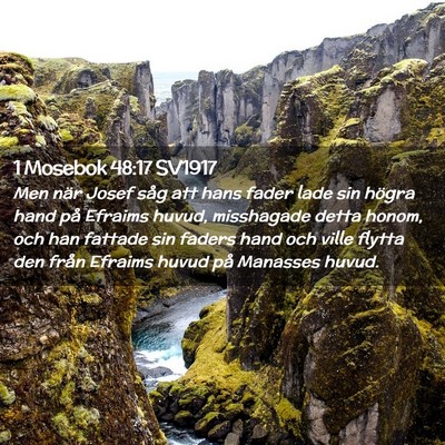 Picture 02 - 1 Mosebok 48:17 SV1917 - Men när Josef såg att hans fader lade sin - Bible Verse Picture